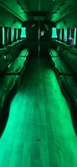 Party Bus for Chicago wedding guest transportation